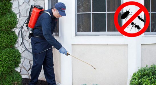 Avcılar Kene İlaçlama böcek ilaçlama ve haşere kontrolü — ilaclama-tr.com